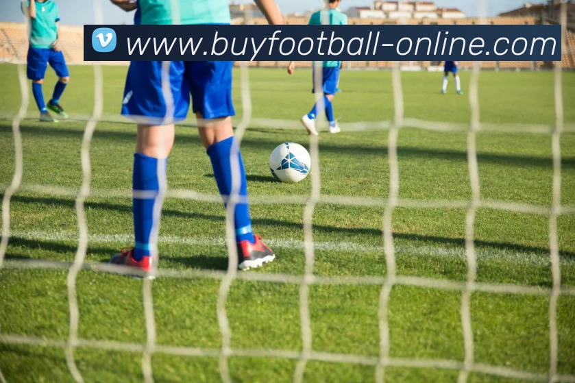 在线买球网站发展历程