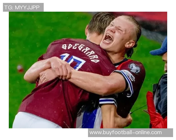 哈兰德怒斥曼奇尼不当行为多纳鲁马出面调解冲突